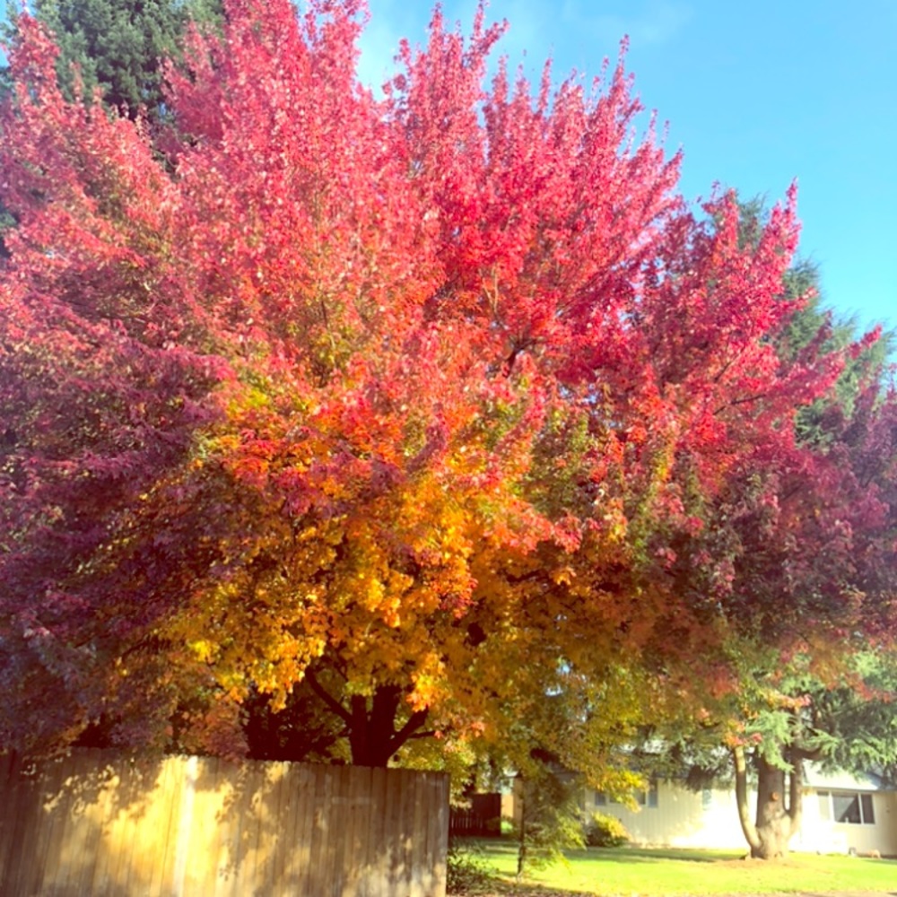 Meet your Posher, Gloria